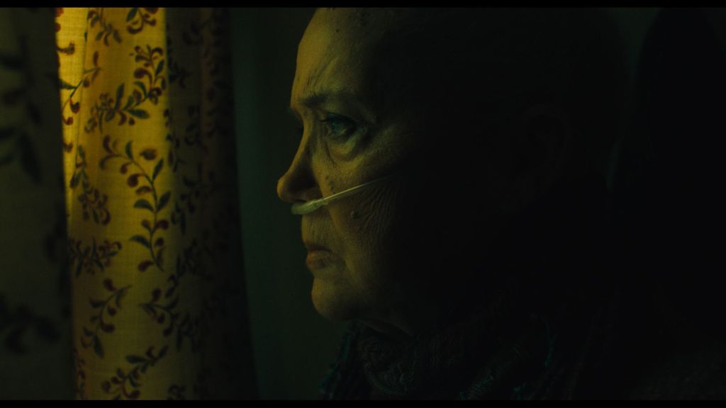 Sally Kirkland, of 'Anna' fame, in 'Cuck'