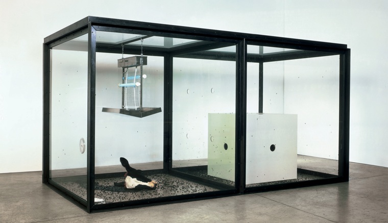 damien hirst flies