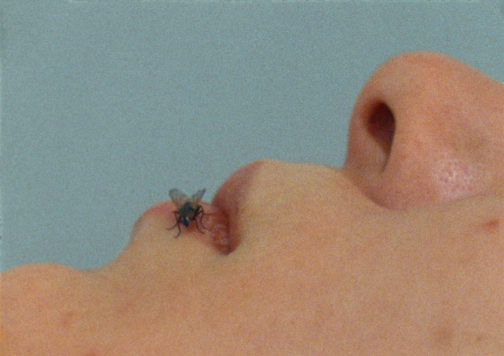 Yoko Ono, FLY 1970-71. Courtesy the artist