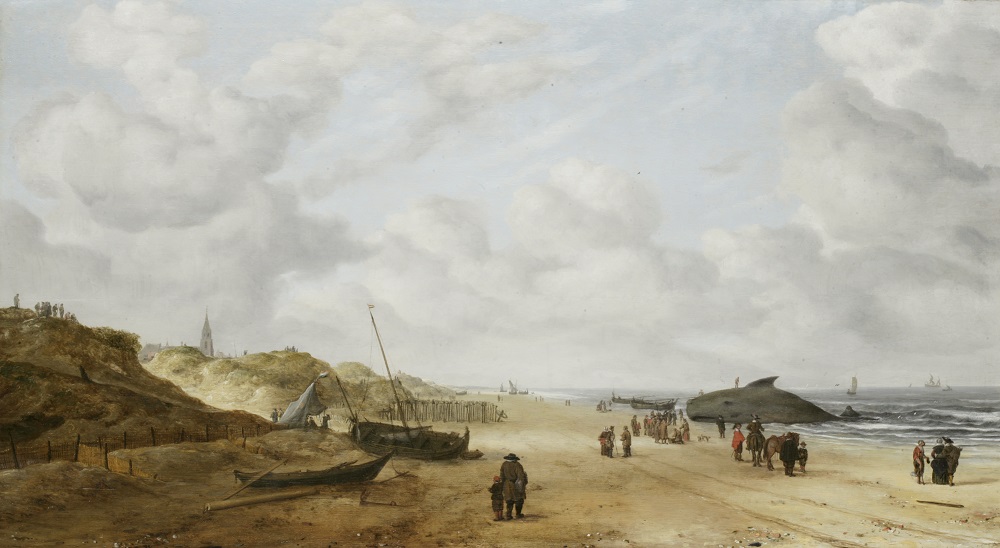 Hendrick van Anthonissen (1606-after 1660), (restored) View of Scheveningen sands, with a stranded sperm whale, c 1641, oil on panel © Fitzwilliam Museum, Cambridge