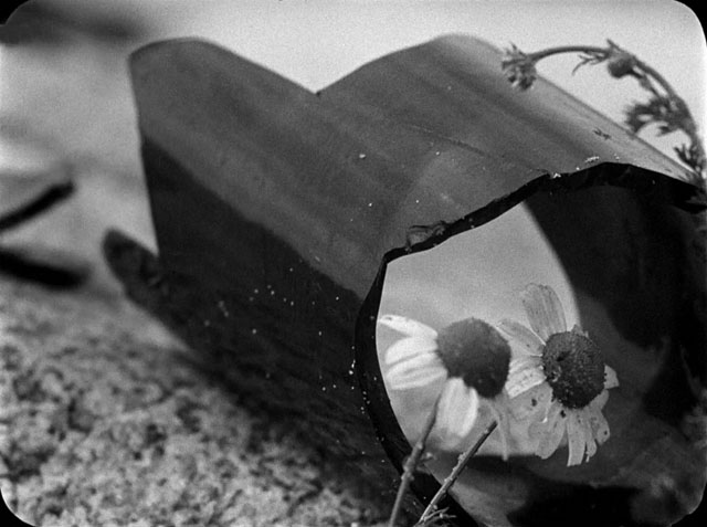 Finis terrae broken wine bottle
