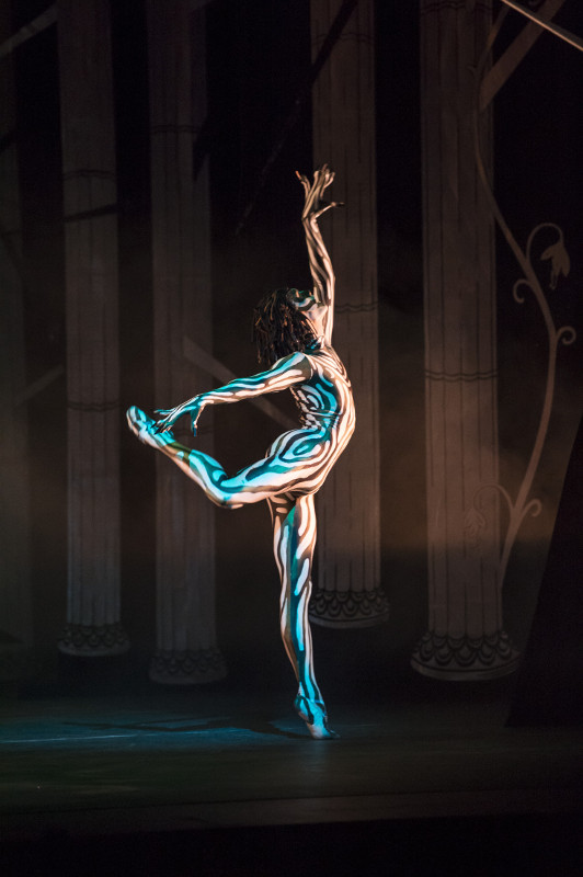 William Bracewell as the Salamander in David Bintley's production of the Prince of the Pagodas. Photo by Bill Cooper.