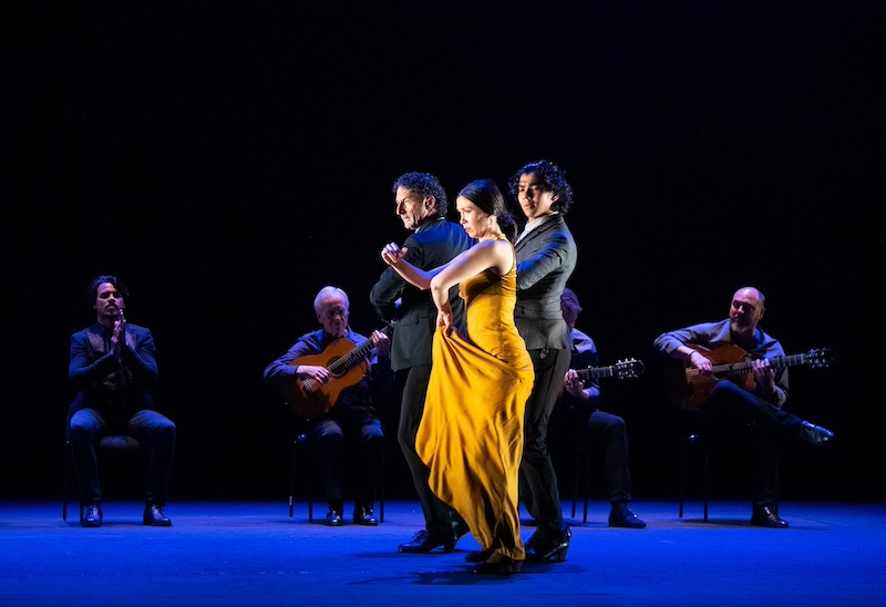 Paco Peña Company, in the show Solera