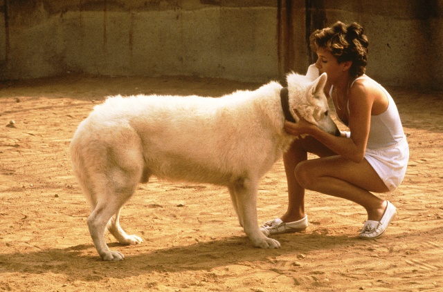 White Dog Kristy McNichol