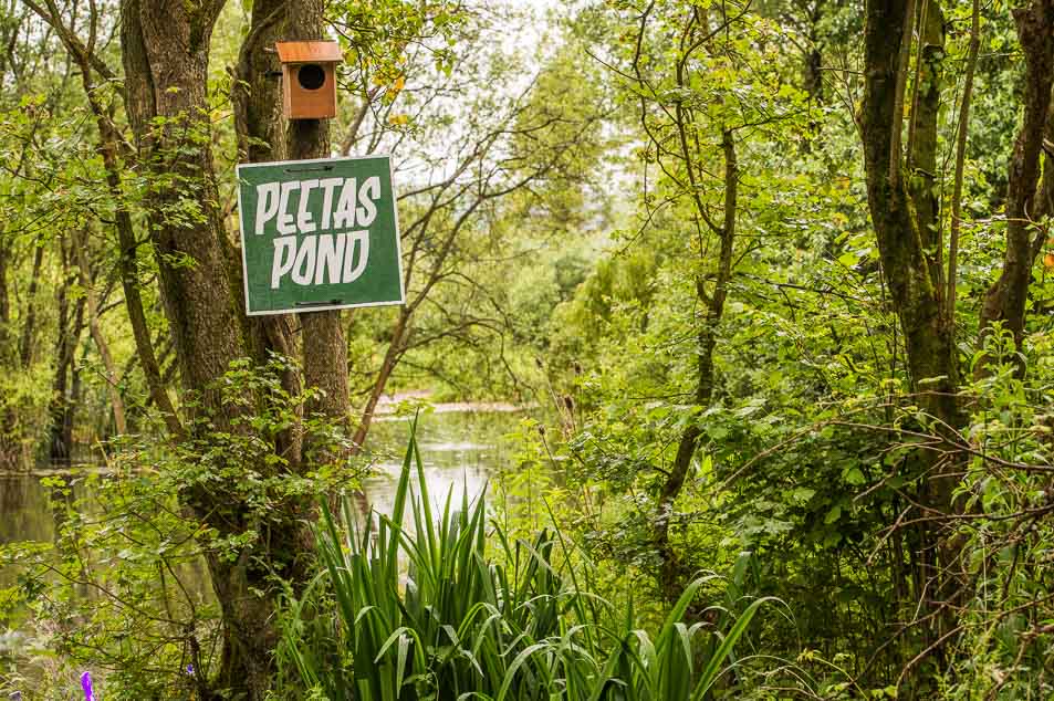 peeta's pond