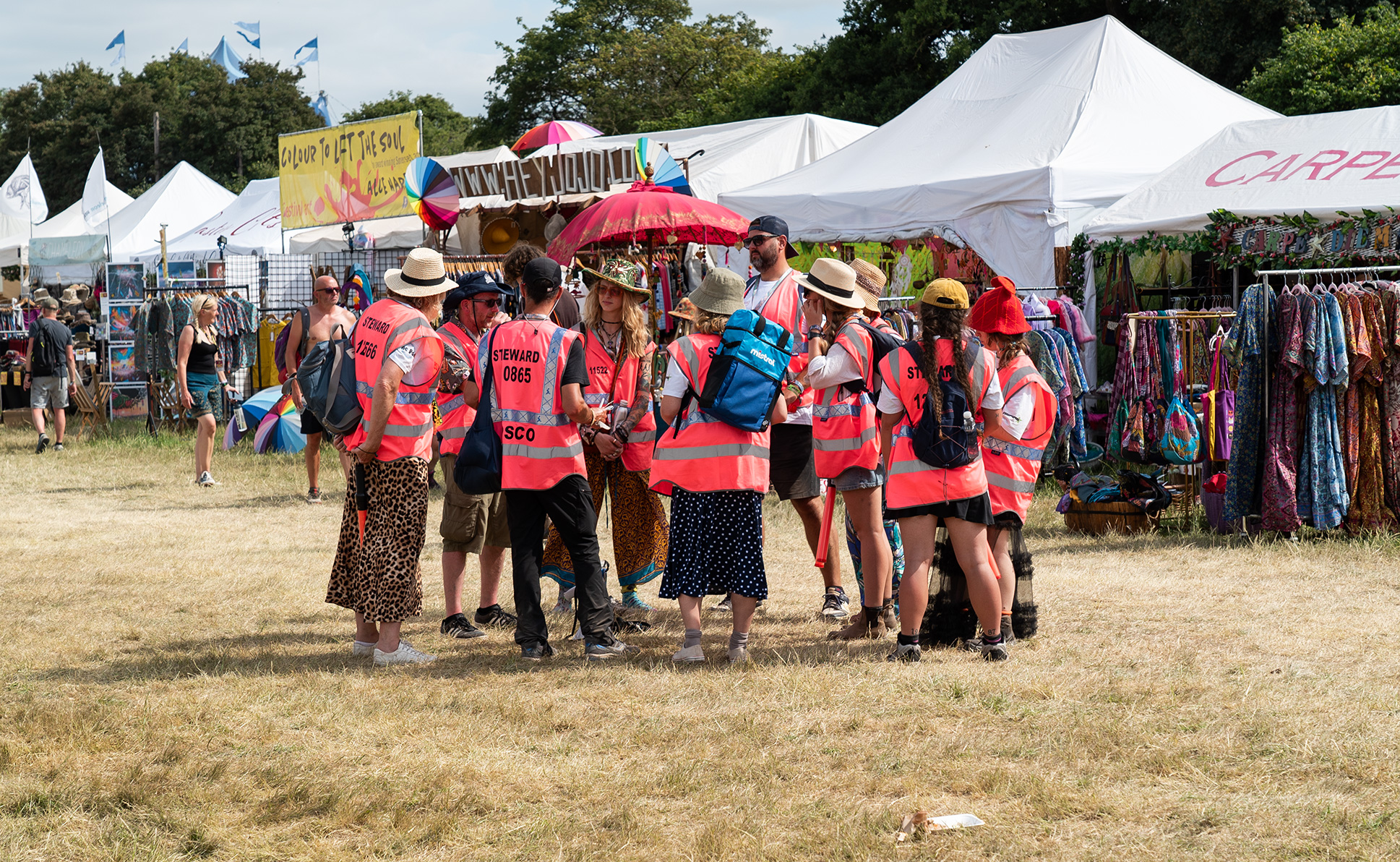 stewards 2