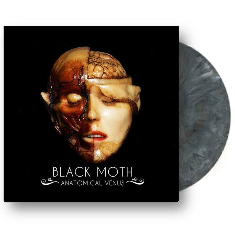 moth